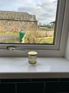 Hello Jar of Seawater