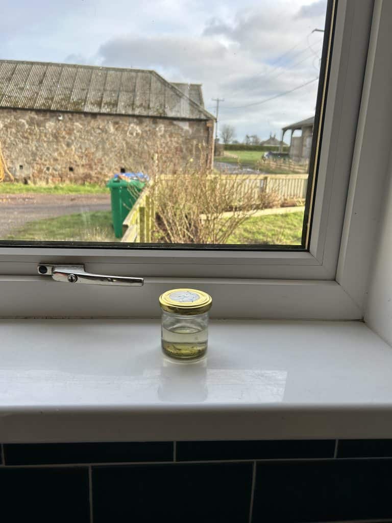 Hello Jar of Seawater